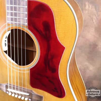 Gibson 2025 Murphy Lab R HATA MOTOHIRO J-45 image 11