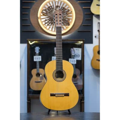 USED Yamaha G-231 IIM natural image 11