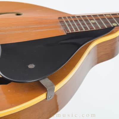 Gibson A40 1950s Mandolin image 17