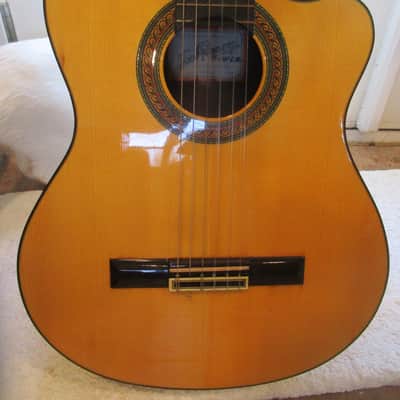 Ramirez CWR2 Classical Guitar, 1994, Cut 2 Studio Series, Cutaway, L.R. Braggs Electronics, Case image 2