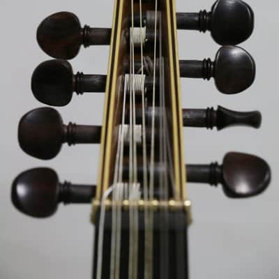 Oud (Persian Barbat) 2016 - French Polish image 11