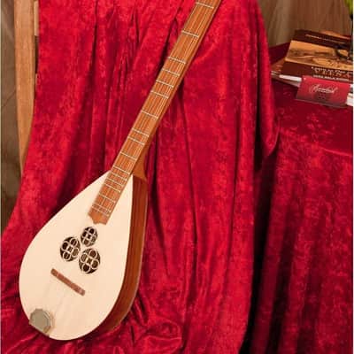 Wildwood Dulcimer Package Includes: Wildwood Dulcimer – Rosewood + Roosebeck Dulcinet 4 String Repla image 2
