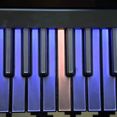 ROLI Lumi Keys Studio controllers image 4
