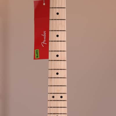 Fender James Burton Signature Telecaster - Maple Fingerboard, Red Paisley Flames image 7