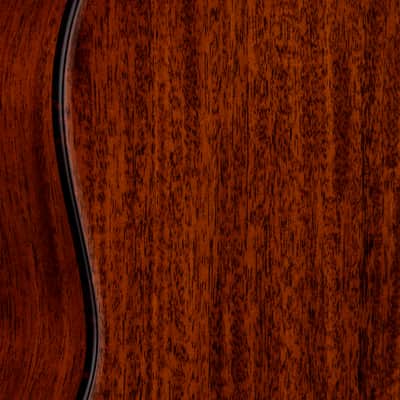 Taylor Custom Shop Select 318e #24100 (NAMM) image 9