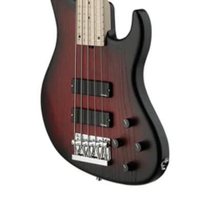 Sadowsky MetroLine 24-Fret Modern Bass-Swamp Ash Body-5 String-Burgundy Burst Transparent Satin image 6