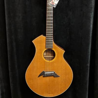 1992 Breedlove CM Masterclass Acoustic Guitar with Case image 1