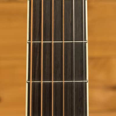 National M-1 | Tricone Resonator - Wood Body image 6