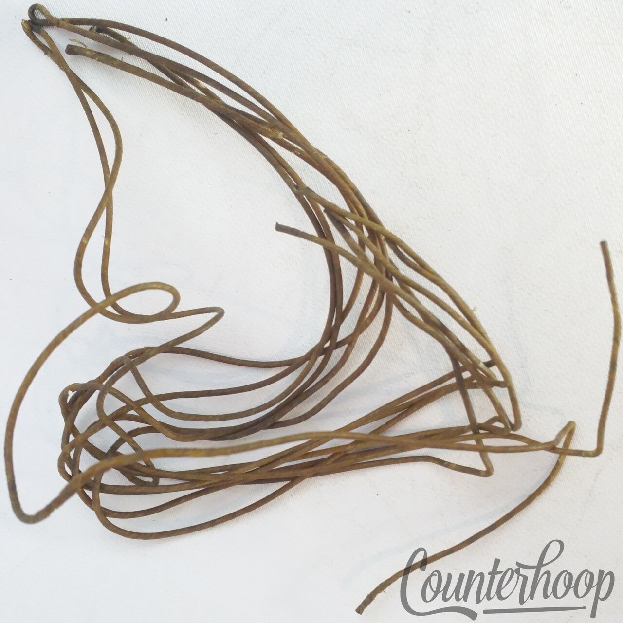 Ludwig 14" Catgut(Sheep)Natural Snare Drum Wires/8x Strands Vintage 10s Cat Gut — main photograph