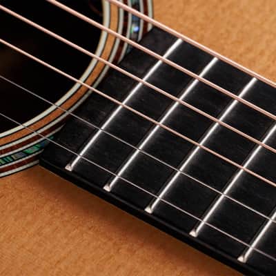 Taylor Gold Label 814e Electro-Acoustic, Natural image 7