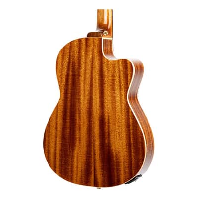 Ortega Guitars Performer Series LH Thinline A/E Nylon Classical Guitar image 7