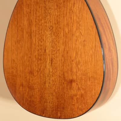 Fylde Mandola image 4
