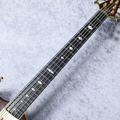 Alembic JJLB5 Jimmy Johnson Signature [5.17Kg] image 4