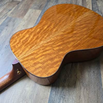 Breedlove Custom Shop "Trip Cascade" Concertina image 23