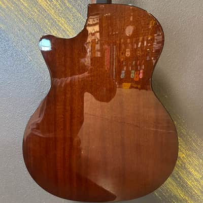 Taylor 50th Anniversary 314ce LTD 2024 - Shaded Edgeburst image 7