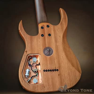Hufschmid  'Tantalum' extended scale 7 string - Boutique - Limited - Killlswitch image 2