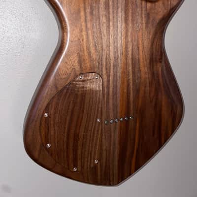 Dries Guitars- Stella 2024 image 6