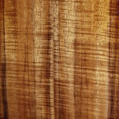 Taylor 224ce-K DLX Koa Acoustic-Electric Guitar | Grand Auditorium Cutaway w/ ES2 Pickup image 11