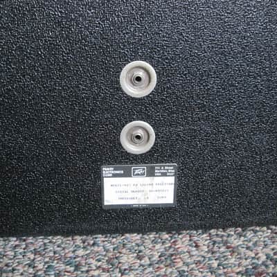 Peavey 410 PA Columns image 5