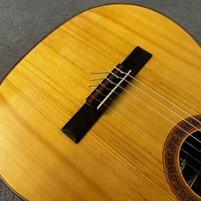 Vintage 1979 Giannini AWN 71 Classical Acoustic Guitar Brazilian Rosewood image 3