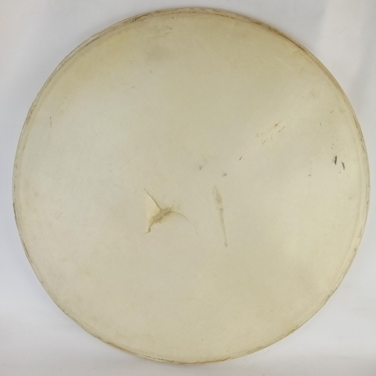 Leedy 20" Calf Skin Bass Drum Head Vintage 40s-50s USA 1Ply Maple Flesh Hoop — main photograph