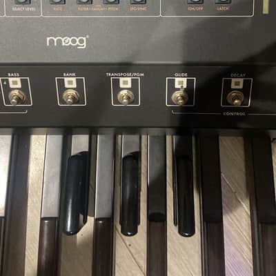 Moog Taurus III image 5