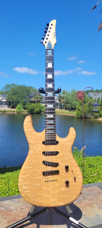 Carvin DC 135 SSS image 1