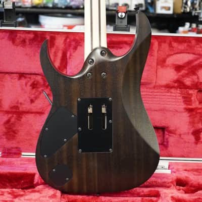 Ibanez j.custom Limited Edition RG8620AH AGF - Anvil Gray Burst Flat w/ Case image 9