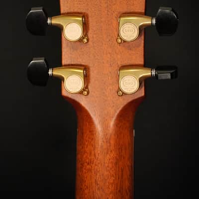 Furch Rainbow Gc-DR Custom Shop Sinker Redwood  - Natural High-Gloss image 9