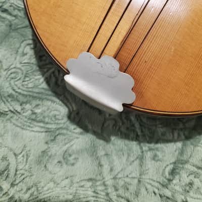 1920's Weymann Mandolute image 16