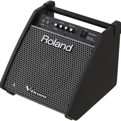 PM-100 Roland PM-100 Personal Monitor image 2