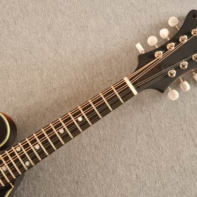 Eastman MD315E-SB Electric F Style Mandolin K&K Duotone image 6