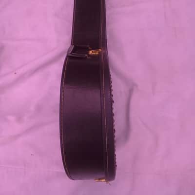 Hondo II Banjo HB85A 1970 - 1980 - Remo Weather King image 8