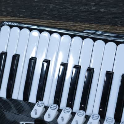 Giulietti Musette Model 120-Bass 41-Key Gray Piano Accordion w/Case #17568 image 16