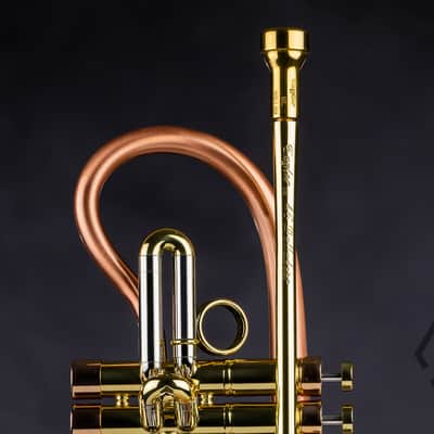 Taylor 46 Balladeer Bb trumpet / flugelhorn hybrid 2020, matte lacquer image 4