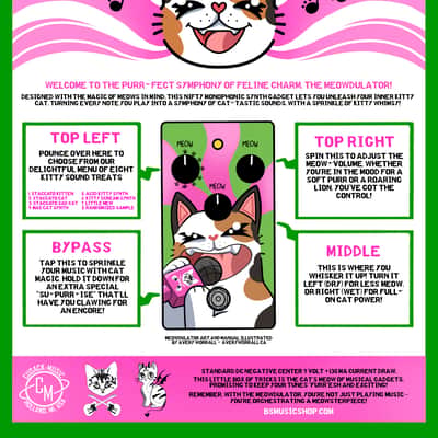 The Meowdulator - B's Music Shop Cat Synth Guitar Pedal - Cusack Music image 3