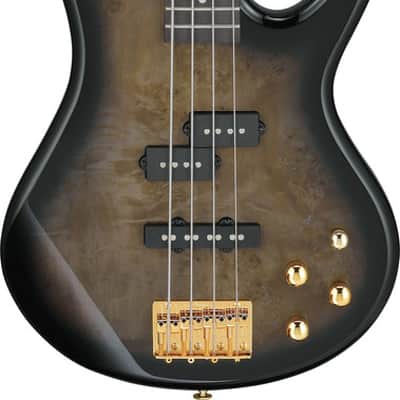 Ibanez Gio SR 4 String Electric Bass - Transparent Pale Black Burst (GSR200PCTPB) image 12