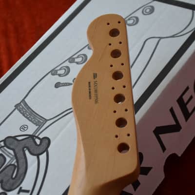 Fender Player Plus RARE Telecaster Maple Neck * Pau Ferro Fingerboard * Made in Mexico image 4