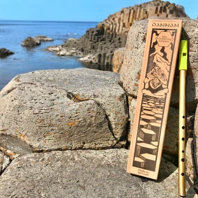 The Dannan Giant's Causeway Brass Whistle in D - Gráinne Green image 1