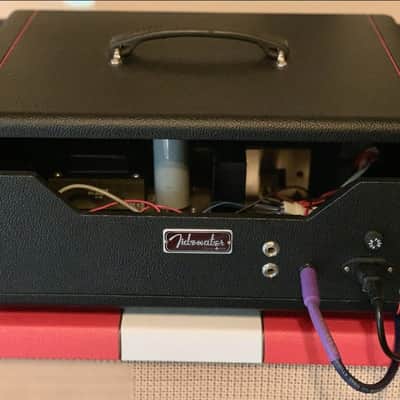 1982 Polytone Mini Brute III Amp with CUSTOM HEAD CABINET image 2