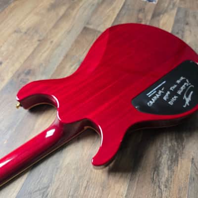 Caprison Custom Shop Angelus made for Adam Dutkiewicz of Killswitch Engage image 19