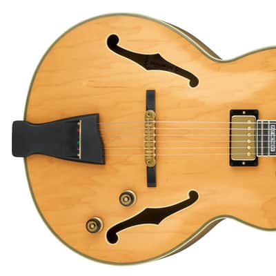 IBANEZ PM200-NT Pat Metheny Hollowbody E-Gitarre inkl. Koffer natur image 2