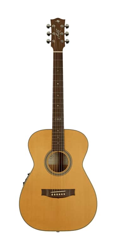 Maton Master Built T.E. PERSONAL Tommy Emmanuel signature guitar image 1
