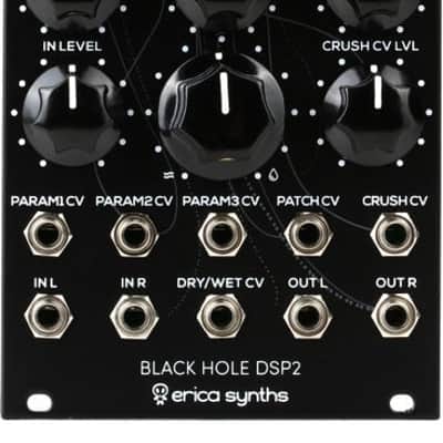 Erica Synths Black Hole DSP2 Multi-Effect Eurorack Module image 2