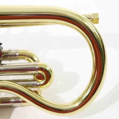 Bach Model 184ML Stradivarius Shepherd's Crook Cornet SN 768694 OPEN BOX image 6