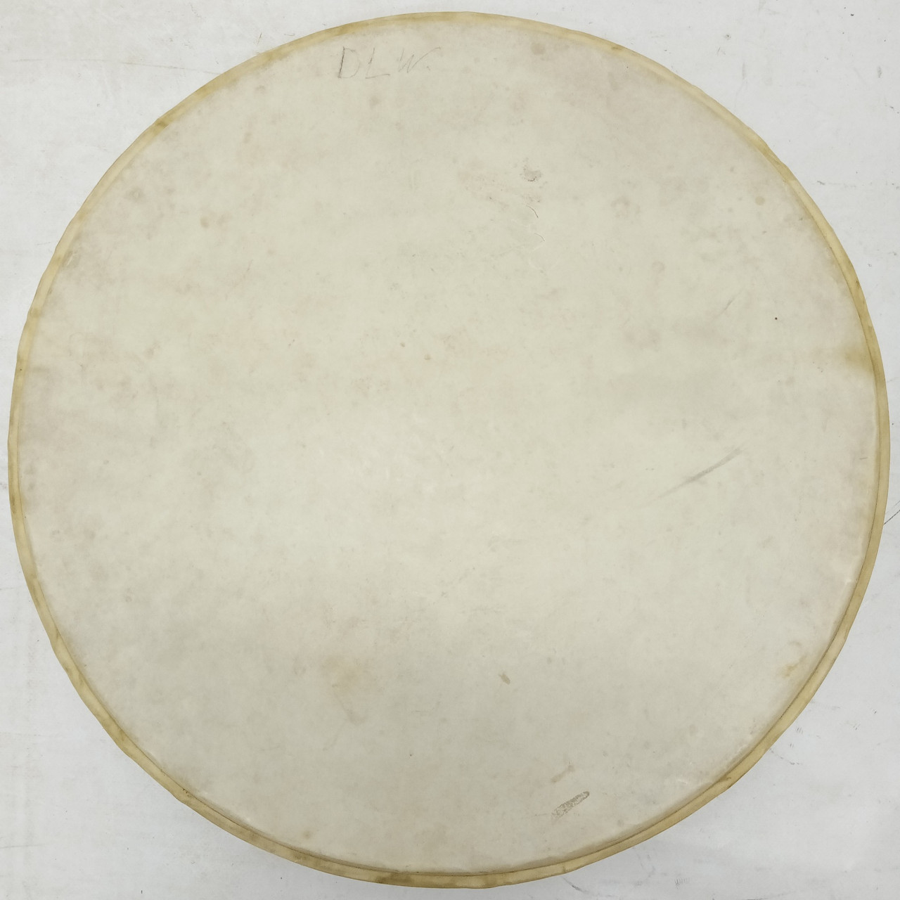 Leedy 15" Calf Skin Snare Drum Batter Head USA Thin Vintage 10s Early American* — main photograph