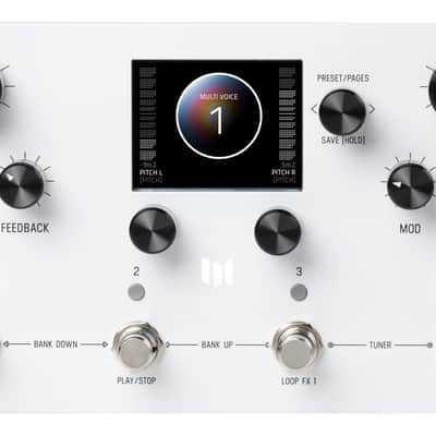 MERIS Modular Delay System / Looper image 1