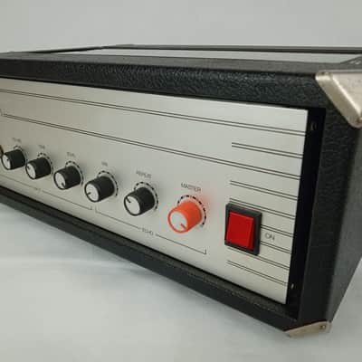Echolette (Dynacord) SE 251 Tape Echo 70's - Black / Grey image 10