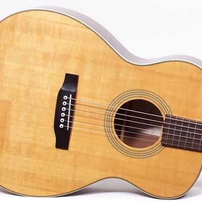 Recording King RO-16 Classic Series Acoustic Guitar Excellent! image 2