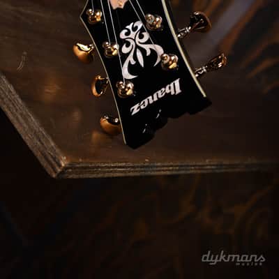 Immagine Ibanez John Scofield JSM100 Vintage Sunburst - 16